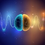 Shutterstock_2063087525